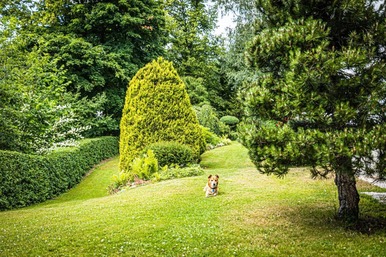 Trojka House Appartamento Szklarska Poręba Esterno foto