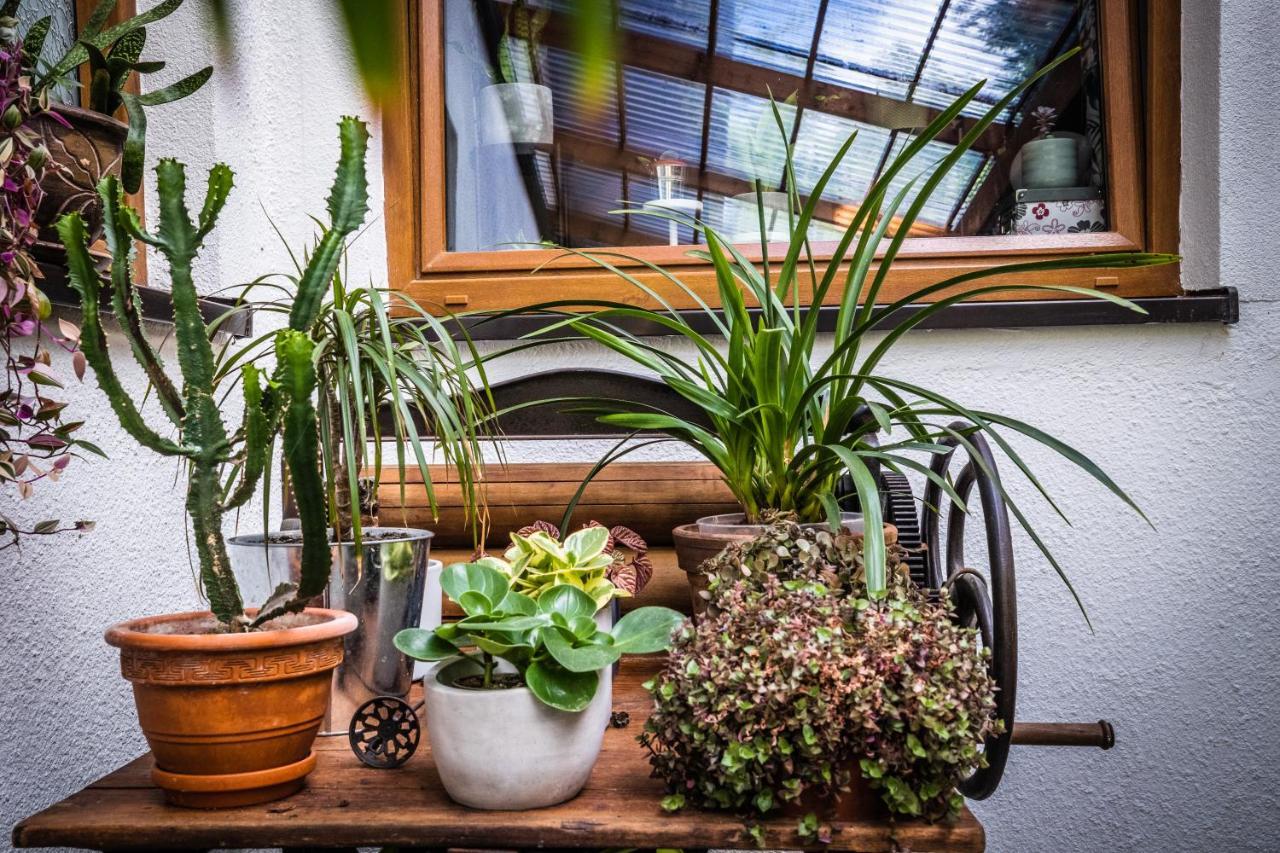 Trojka House Appartamento Szklarska Poręba Esterno foto